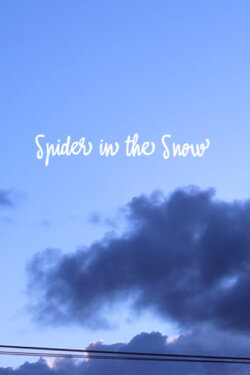 Spider in the Snow (2023)