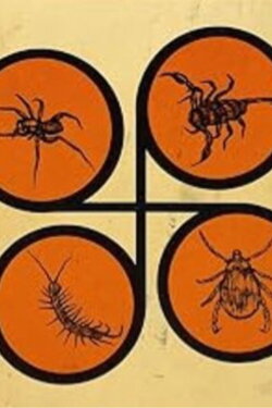 Spiders and Flies (1996) Spiders and Flies (1996)
