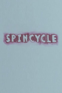Spin Cycle (2003)