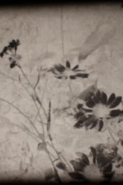 Spirit Emulsion (2022) Spirit Emulsion (2022)