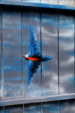 Spirit of the Bluebird (2011) Spirit of the Bluebird (2011)