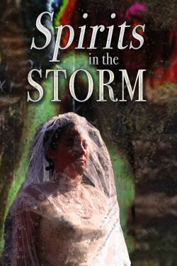 Spirits in the Storm (2019) Spirits in the Storm (2019)