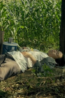 Spirits of the Black Leaves (2024) Spirits of the Black Leaves (2024)
