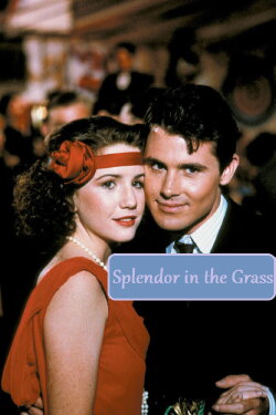 Splendor in the Grass (1981) Splendor in the Grass (1981)