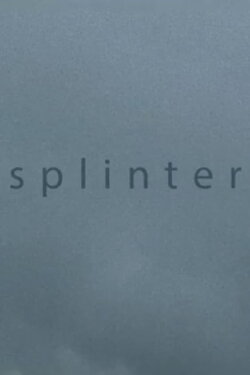 Splinter (2013)