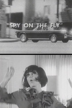 Spy on the Fly (1967) Spy on the Fly (1967)