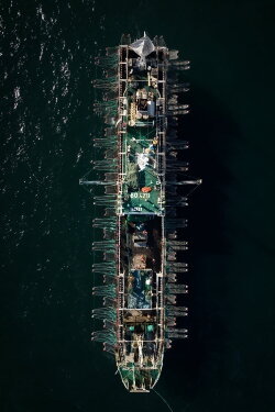 Squid Fleet (2023)