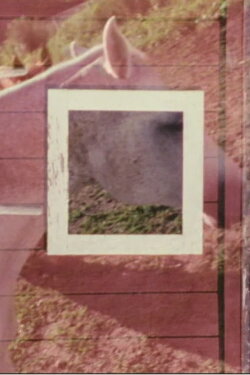 Stable (2003)