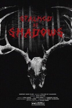 Stalked by Shadows (2024)