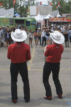 Stampede (2020)