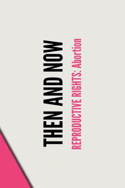 Stand UP, Speak OUT: Reproductive Rights - Abortion (2023) Stand UP, Speak OUT: Reproductive Rights - Abortion (2023)