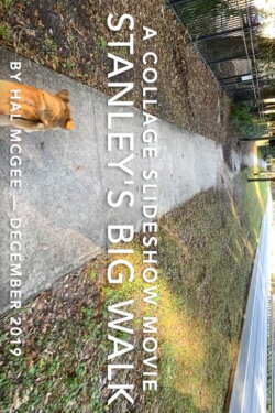Stanley's Big Walk (2019) Stanley's Big Walk (2019)