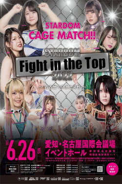 Stardom Fight in the Top 2022 ~Nagoya Summit Battle~ (2022) Stardom Fight in the Top 2022 ~Nagoya Summit Battle~ (2022)