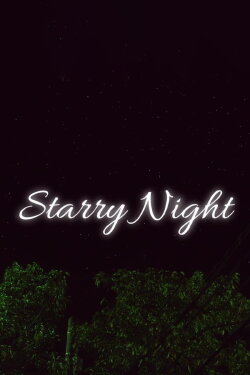 Starry Night (2013)