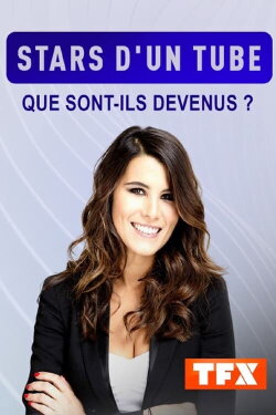 Stars d'un tube : que sont-elles devenues ? (2022)