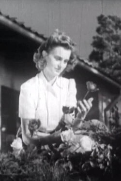 Stay a While! (1948)