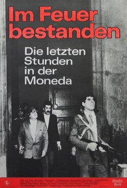 Steadfast in Fire (1978)