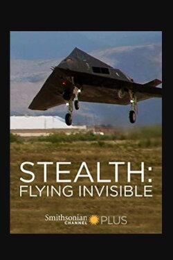 Stealth: Flying Invisible (2010)