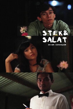 Stek & Salat (2011) Stek & Salat (2011)