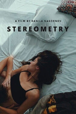 Stereometry (2020)