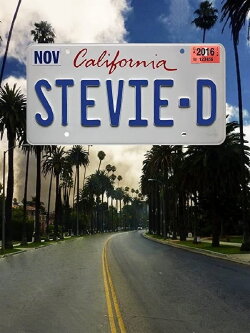 Stevie D (2016) Stevie D (2016)