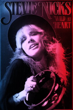 Stevie Nicks: Wild at Heart (2020) Stevie Nicks: Wild at Heart (2020)