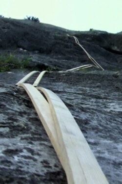 Stick Climbing (2011)