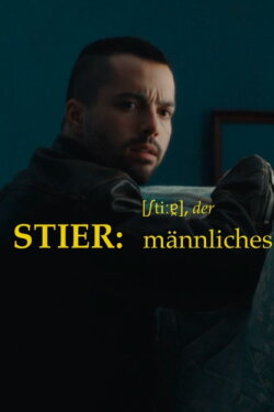 Stier (2023)