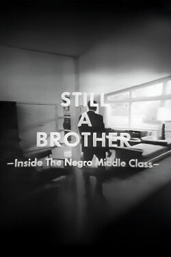 Still A Brother: Inside the Negro Middle Class (1968) Still A Brother: Inside the Negro Middle Class (1968)
