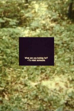 still (2005)