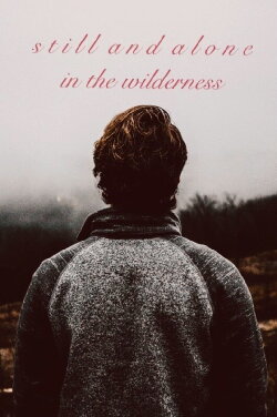 still and alone in the wilderness (2019) still and alone in the wilderness (2019)