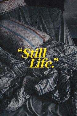 Still Life. (2020) Still Life. (2020)