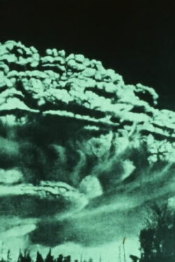 Still Movie (1978)