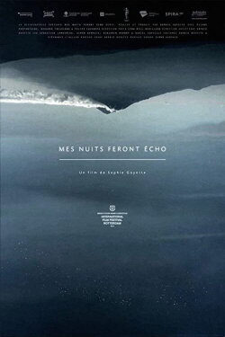 Still Night, Still Light (2016) Still Night, Still Light (2016)