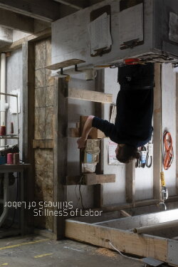 Stillness of Labor (2023) Stillness of Labor (2023)