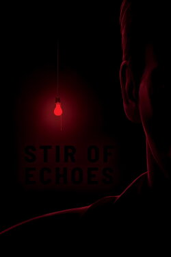 Stir of Echoes (1999)