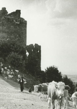Stones, Castles and Men (1956) Stones, Castles and Men (1956)