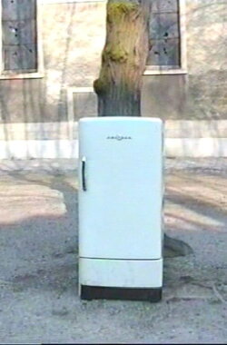 Stoning the Refrigerator (1996)