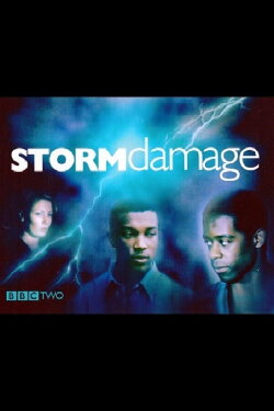 Storm Damage (2000) Storm Damage (2000)
