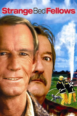 Strange Bedfellows (2004) Strange Bedfellows (2004)