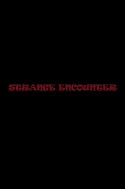 Strange Encounter (2024)
