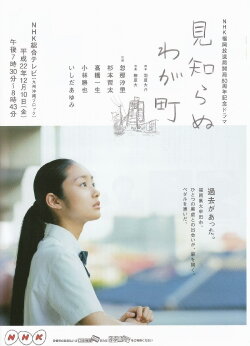 Stranger in My Town (2011) Stranger in My Town (2011)