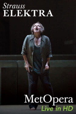 Strauss: Elektra (2016) Strauss: Elektra (2016)
