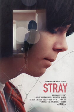 Stray (2017) Stray (2017)