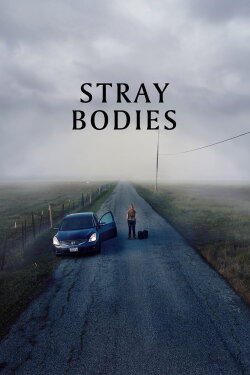 Stray Bodies (2024) Stray Bodies (2024)