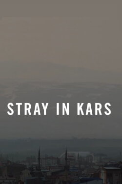 Stray in Kars (2022)