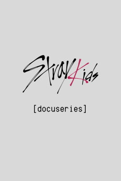 [Stray Kids: Festival Docuseries] (2024)