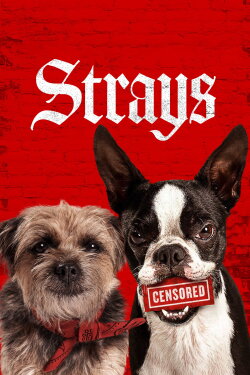 Strays (2023) Strays (2023)