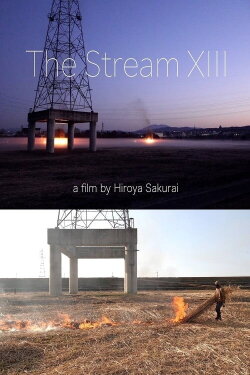 Stream XIII (2024)