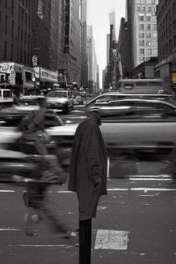 Street Scenes (2017)